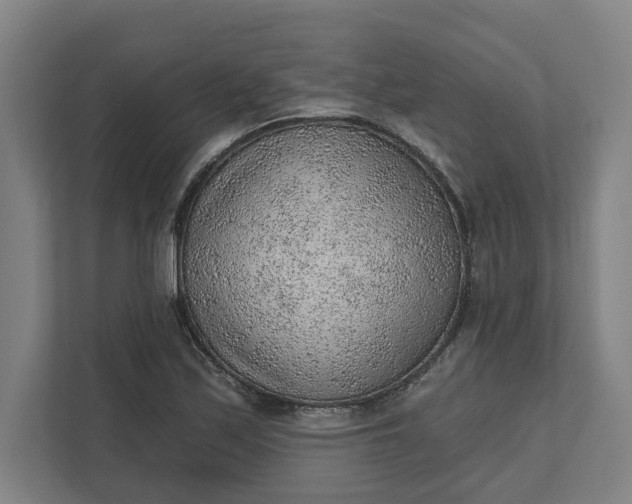 X0000111941171200908101156