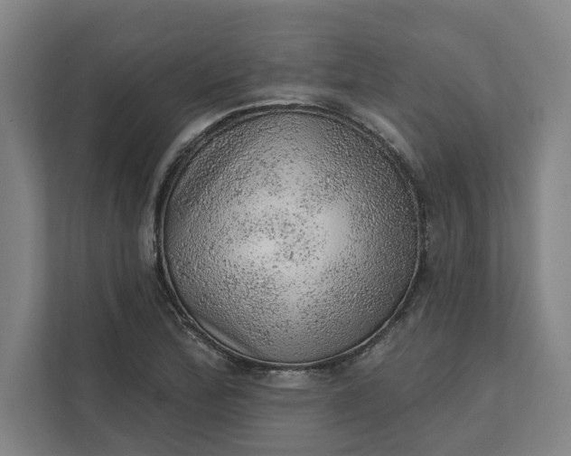 X0000111941172200908101156