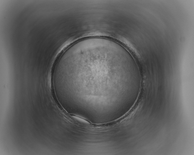 X0000111941173200908101156