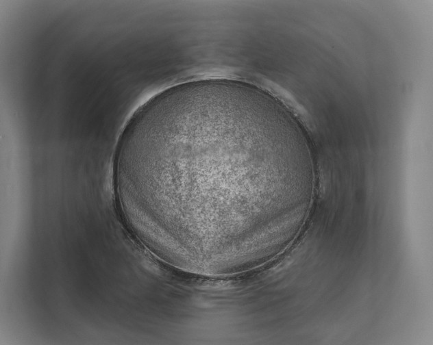 X0000111941174200908101156