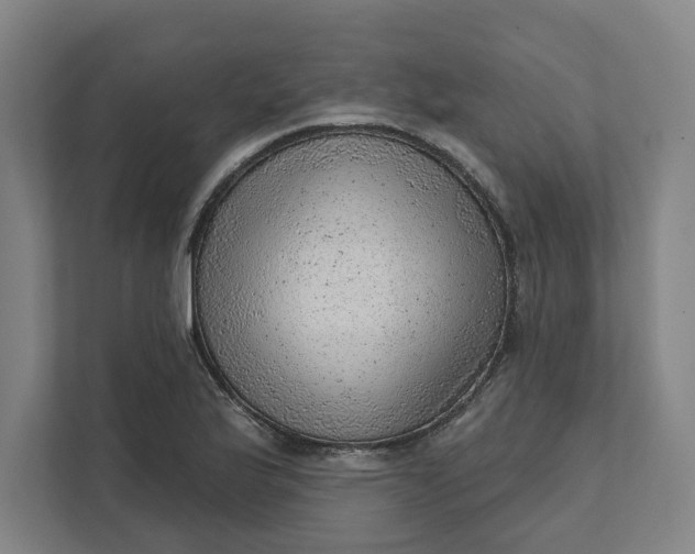 X0000111941175200908101156