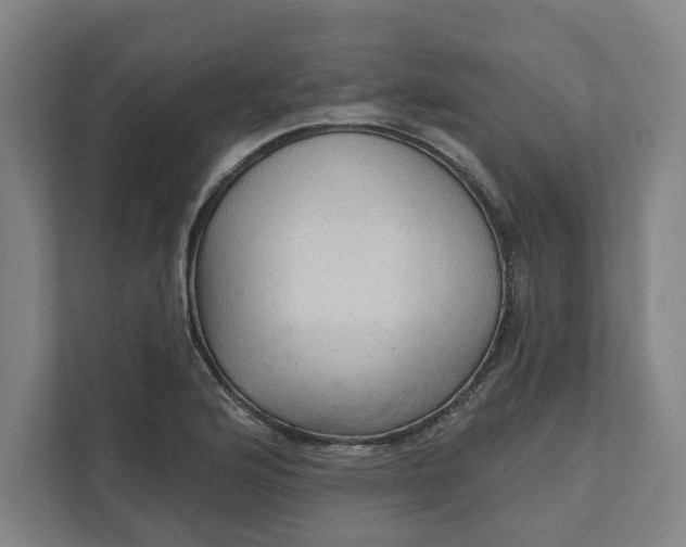 X0000111941176200908101156