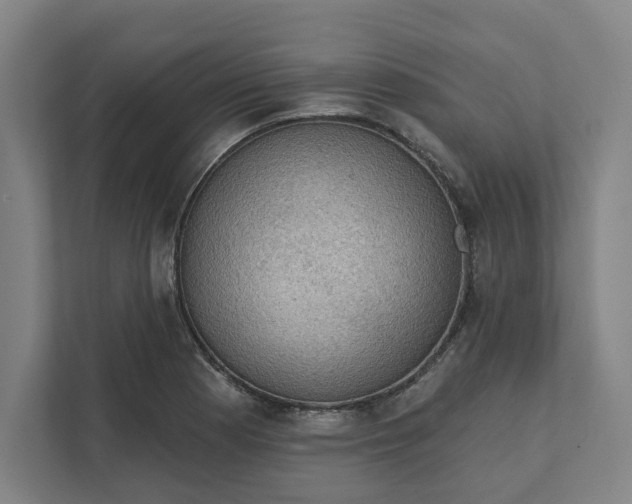 X0000111941177200908101156