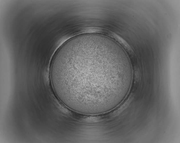 X0000111941178200908101156