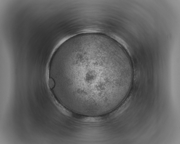 X0000111941179200908101156