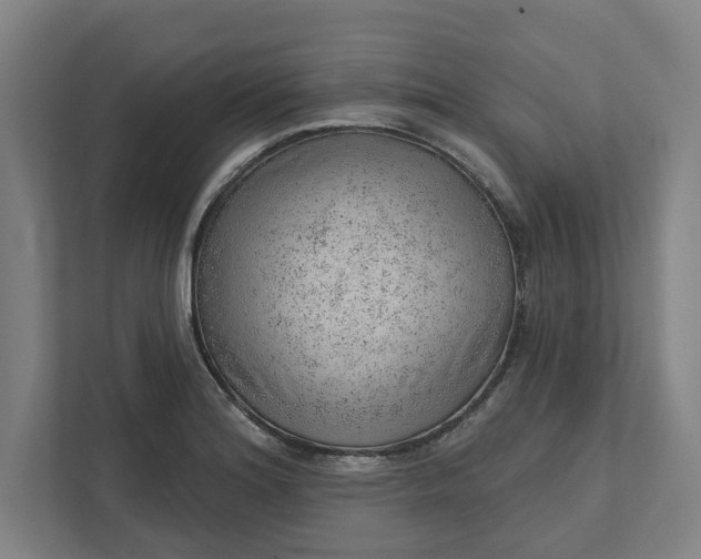 X0000111941180200908101156