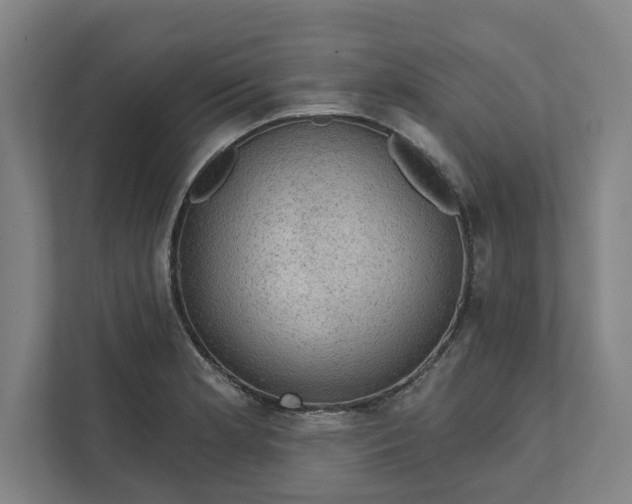 X0000111941181200908101156