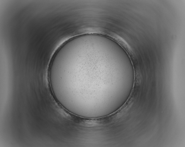 X0000111941182200908101156