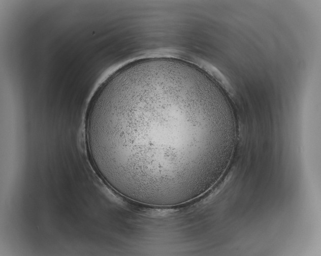 X0000111941184200908101156