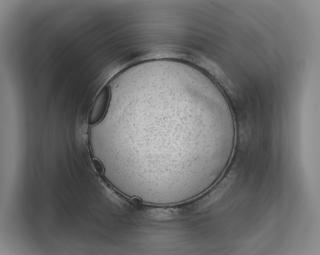 X0000111941185200908101156