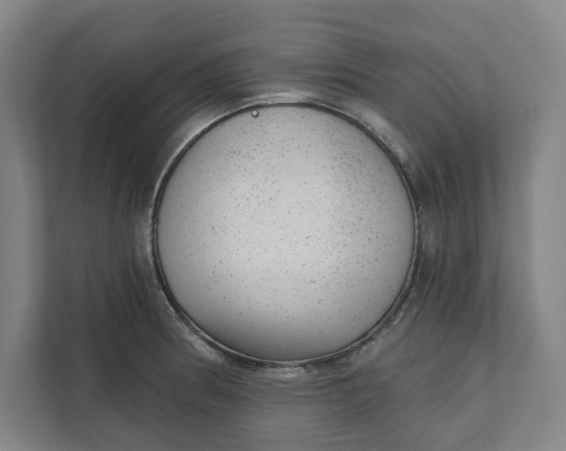 X0000111941186200908101156