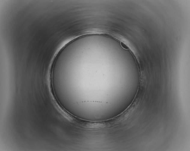 X0000111941187200908101156