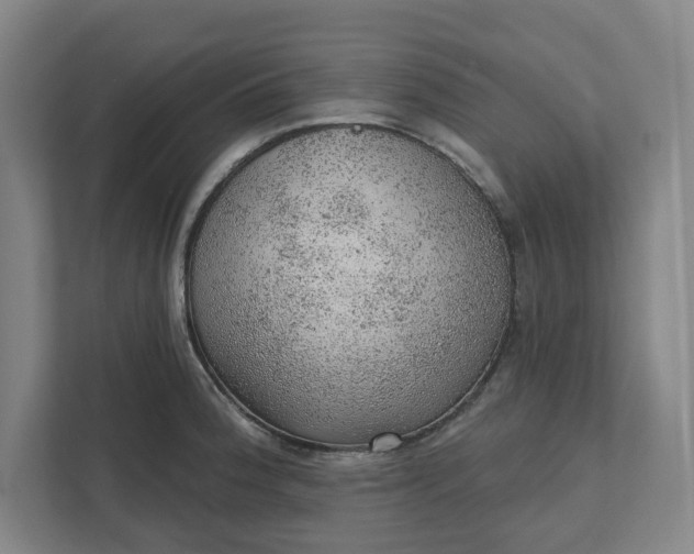 X0000111941188200908101155