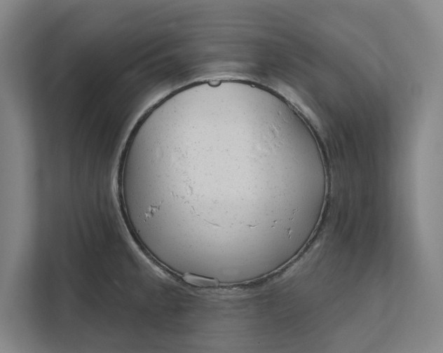 X0000111941189200908101155