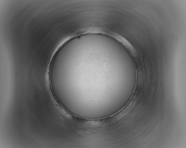 X0000111941190200908101155