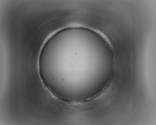 X0000111941191200908101155