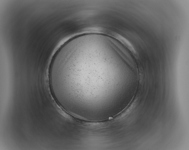 X0000111941192200908101155