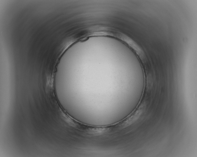 X0000111941193200908101155