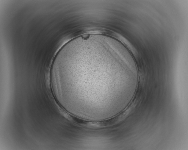 X0000111941194200908101155