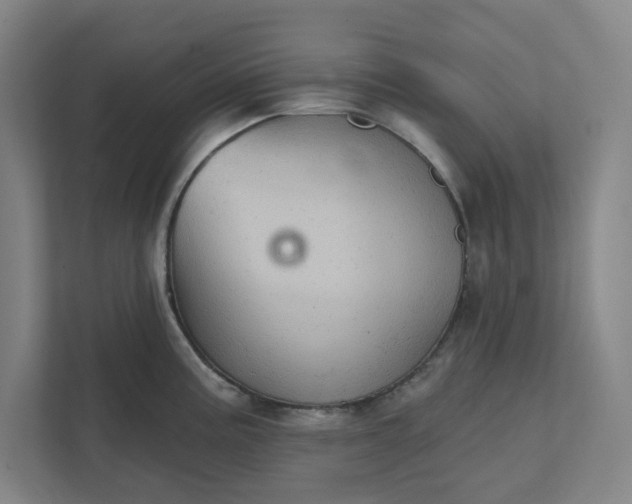 X0000111941195200908101155