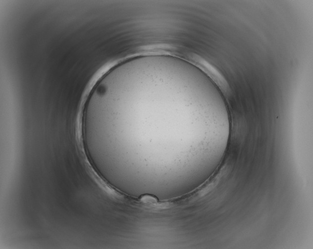 X0000111941196200908101155