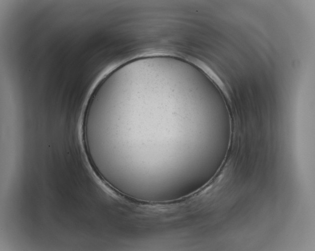 X0000111941197200908101155