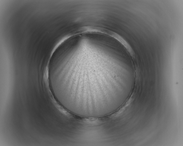 X0000111941198200908101155