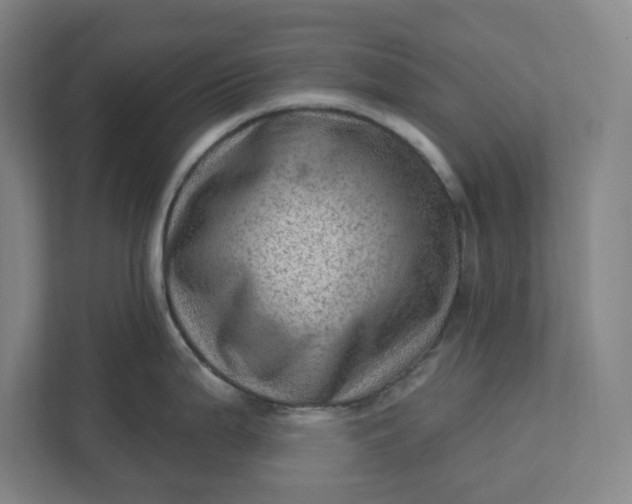 X0000111941199200908101155