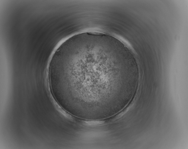 X0000111941200200908101155