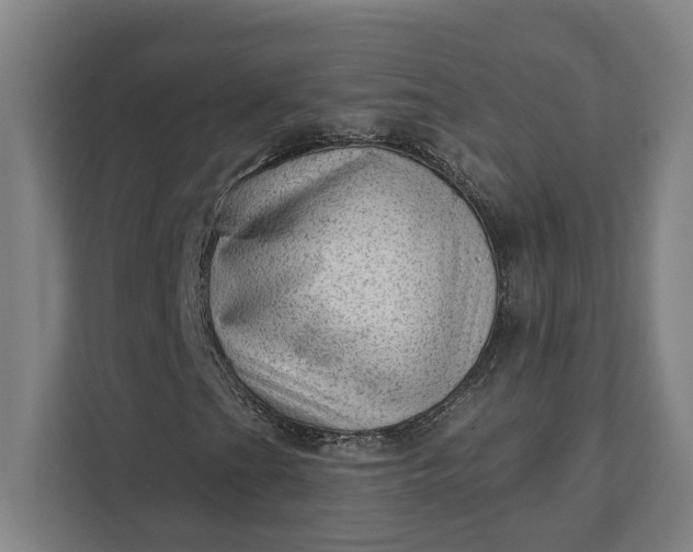 X0000111941201200908101155