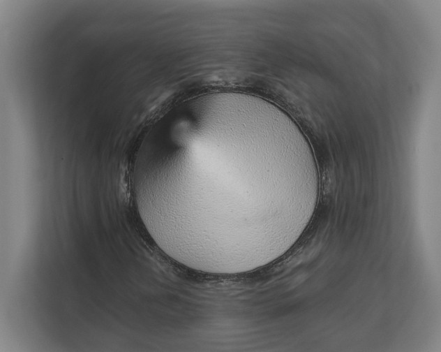 X0000111941202200908101155