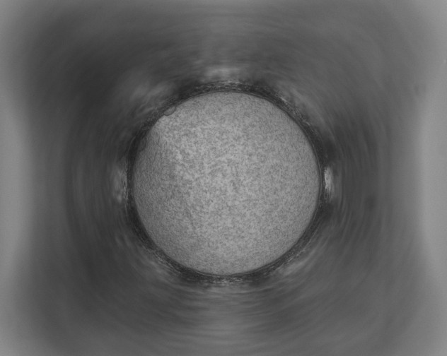 X0000111941203200908101155