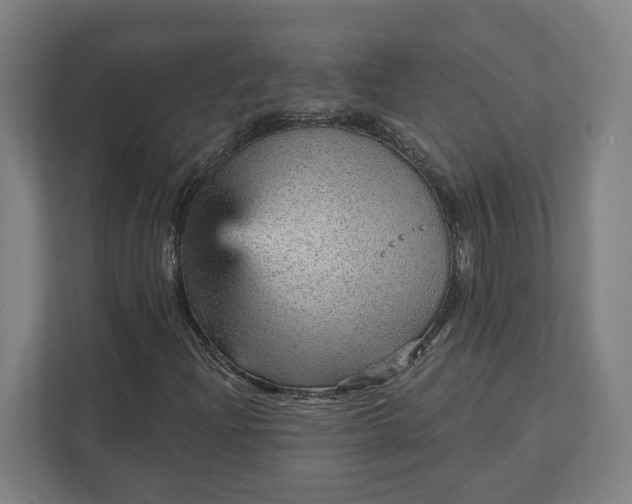 X0000111941204200908101155