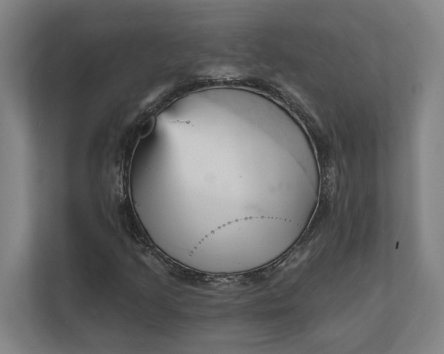 X0000111941205200908101155