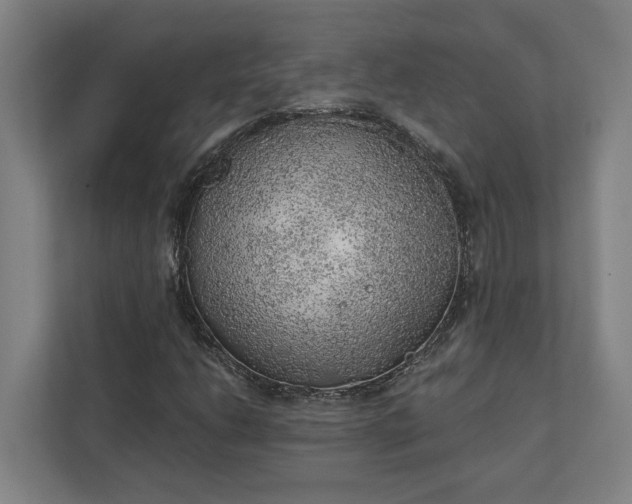 X0000111941206200908101155