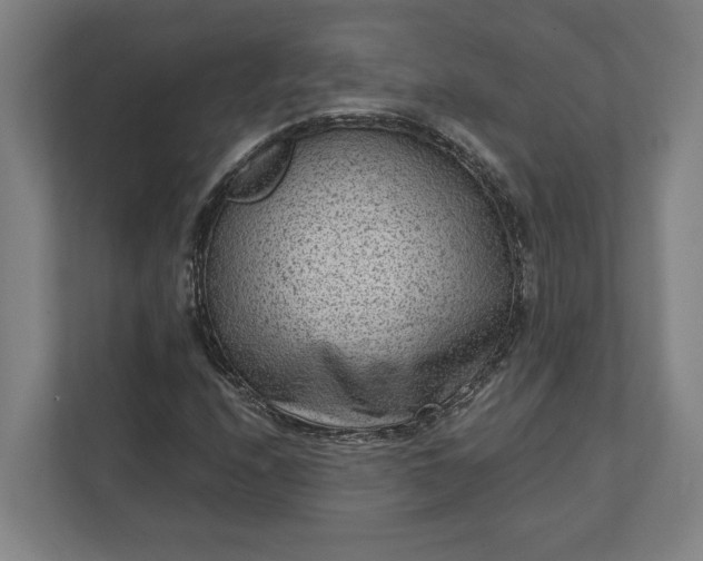 X0000111941208200908101155