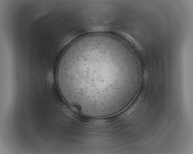 X0000111941209200908101155