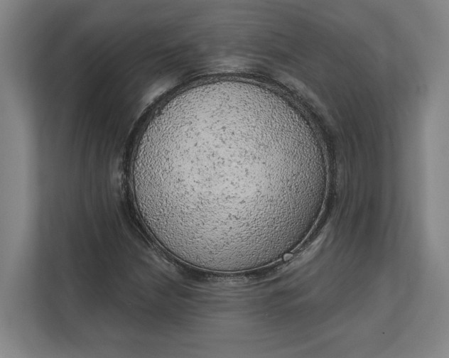 X0000111941210200908101155