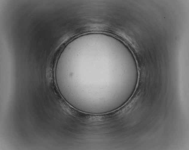 X0000111941211200908101155