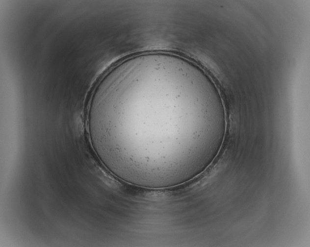 X0000111941212200908101155