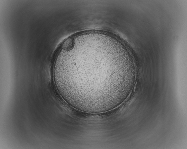 X0000111941214200908101155