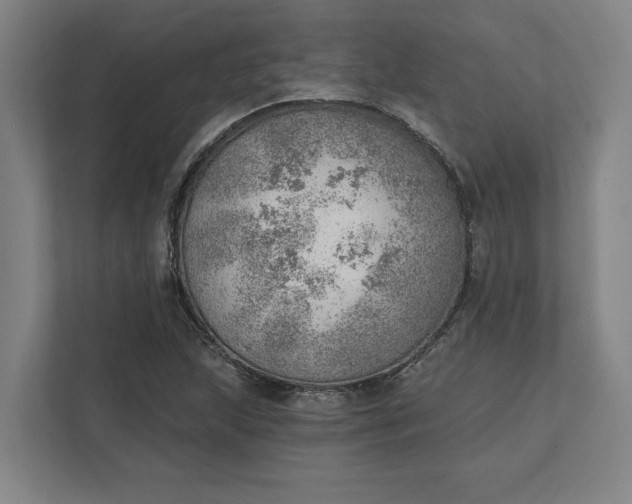 X0000111941215200908101155