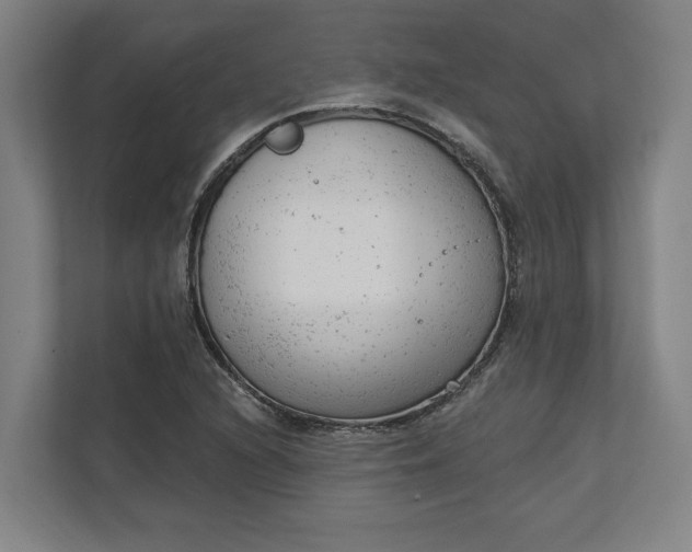 X0000111941216200908101155