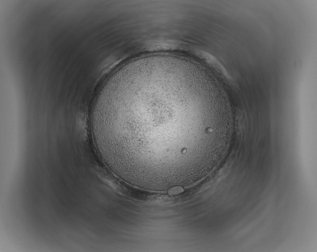 X0000111941217200908101155