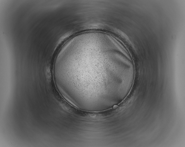 X0000111941218200908101155