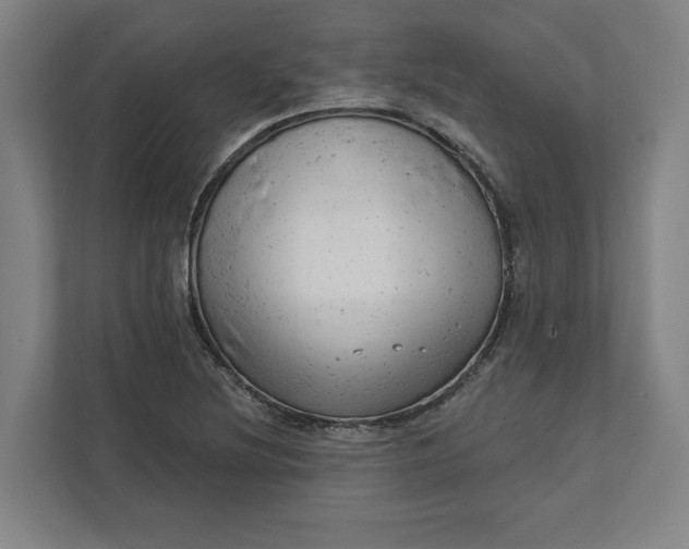 X0000111941220200908101155