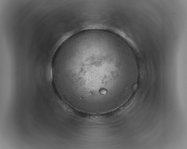 X0000111941221200908101155