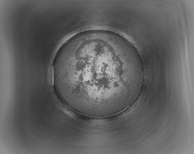 X0000111941223200908101155