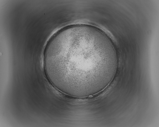 X0000111941224200908101155