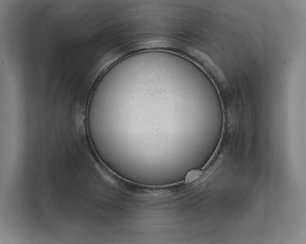 X0000111941225200908101155